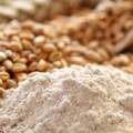Weizen: Russische Exporte deckeln Preis