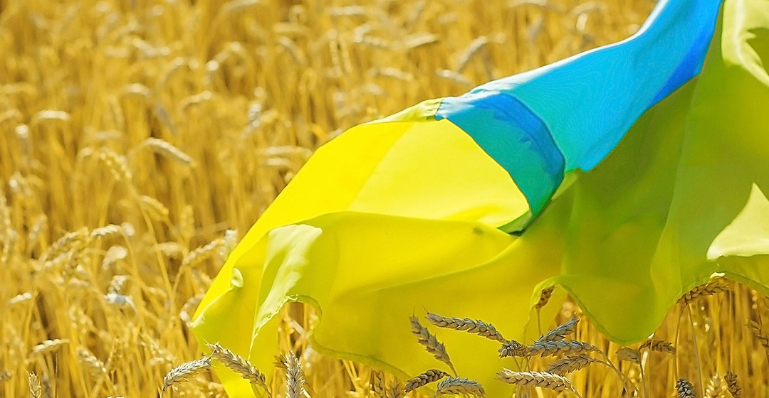 Getreide: Ukrainische Exporte gesunken