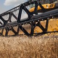 Getreide: IGC erwartet rekordhohe Ernte