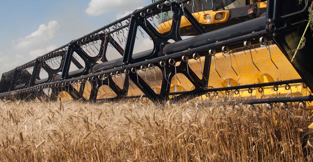 Ukraine-Krieg stürzt Getreidehandel ins Chaos