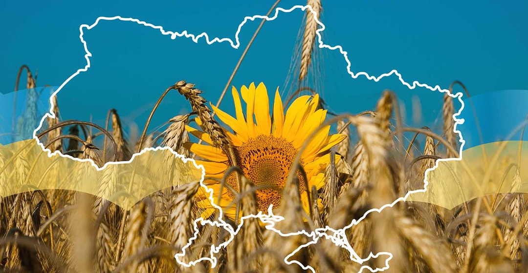 Getreide: Ukrainischer Verband hebt Prognose an