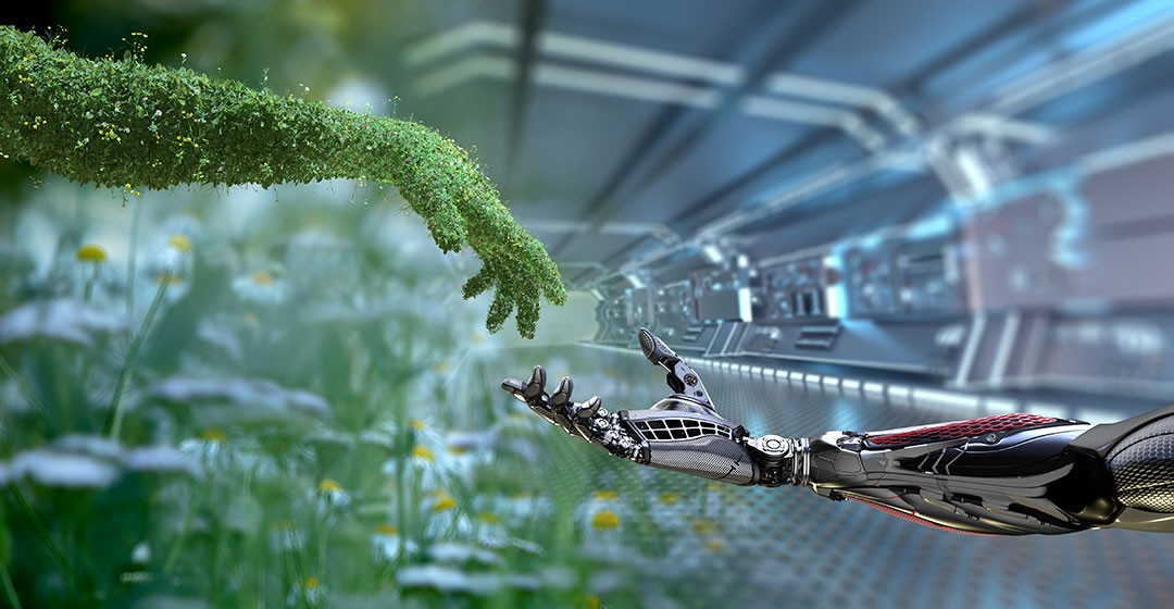 Diese Technologieaktie stürmt von Hoch zu Hoch!
