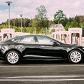 TESLA im Big Picture - Das ist jetzt wichtig!
