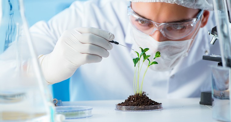 NASDAQ BIOTECH INDEX - Starker Anstieg! Und jetzt?