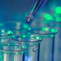 Startet hier gerade eine Biotech-Rally?