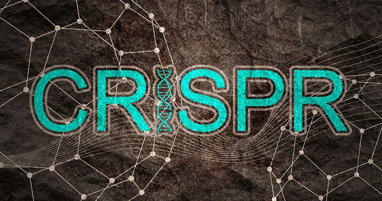 CRISPR THERAPEUTICS - Fortschritte bei CASGEVY-Vertrieb