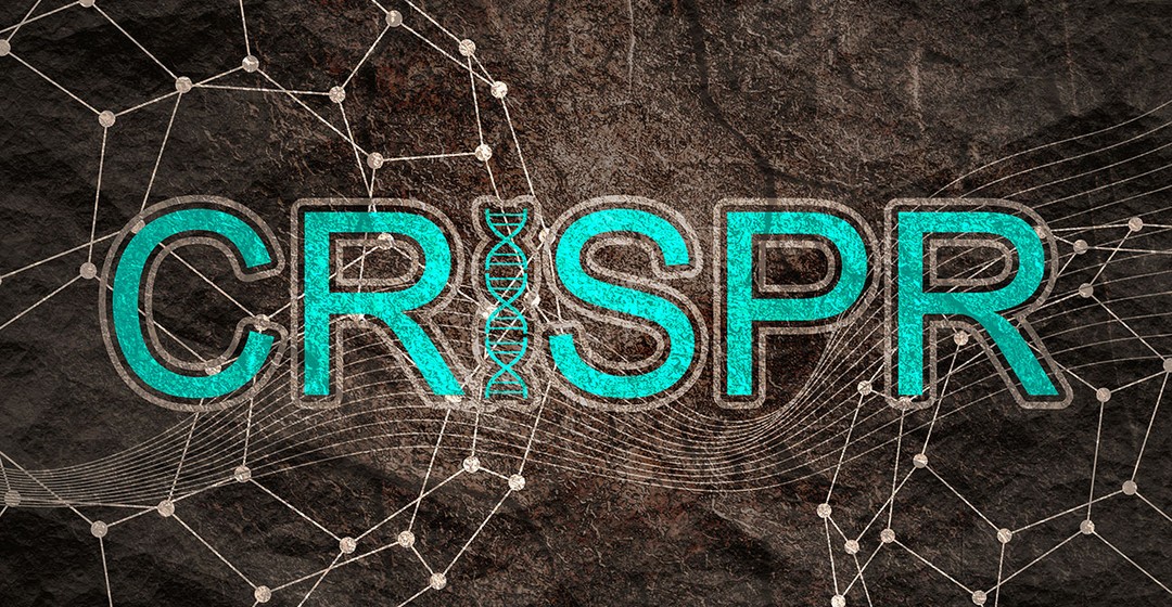 CRISPR THERAPEUTICS - Fortschritte bei CASGEVY-Vertrieb