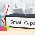 Small Caps gegen Zölle?