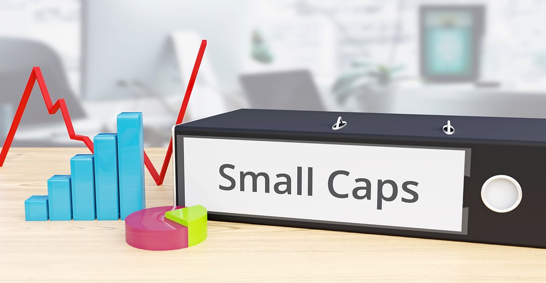 Small Caps gegen Zölle?