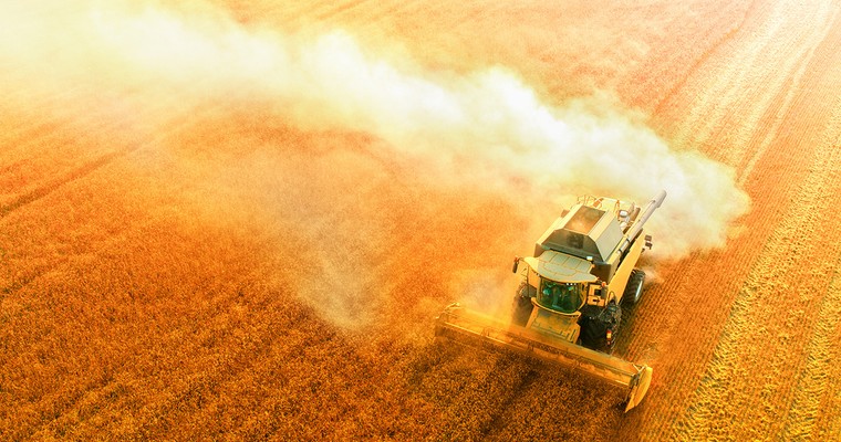 Weizen: Größere US-Ernte und höhere Lagerbestände setzen Preis zu