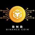 BINANCE COIN - Steht BNB vor einem neuen Kursrutsch?
