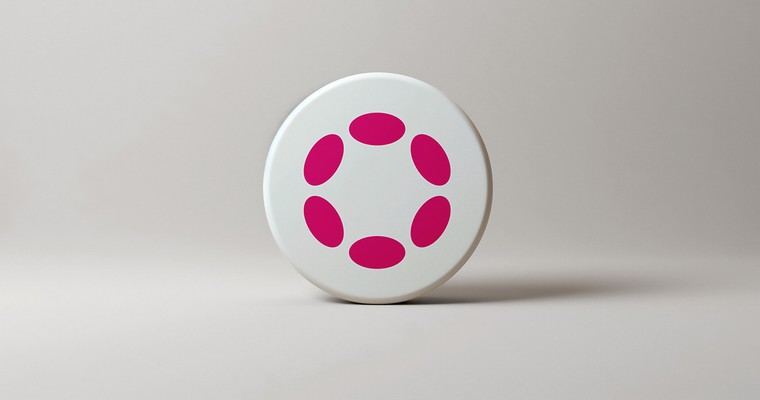 POLKADOT - Visionäre Zukunft oder Hoffnung ohne reale Umsetzung?