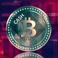 Ist BITCOIN CASH eine Alternative zu Bitcoin?