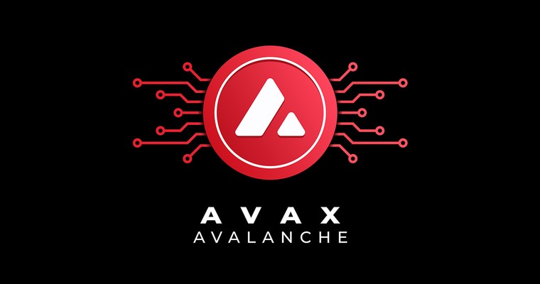 AVALANCHE - Sinnvolles Investment oder Finger weg?