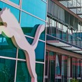 PUMA - An dieser Marke sollte man sich einen Kursalarm anlegen