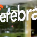 CEREBRAS - Wafer wie Pizzateller