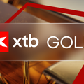 GOLD: Fokus noch weiter auf der Unterseite!