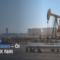 Teaserbild von Weekend-Flash: Angriffe in Saudi-Arabien – Öl steigt, DAX fällt