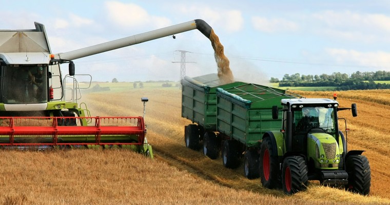 Getreide: IGC erwartet Absinken des Lager-Verbrauchs-Verhältnisses