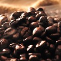 Kaffee: 50 Prozent Plus binnen eines Jahres