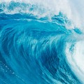 Mit Engagement Risiken für Unternehmen und Ozeane reduzieren