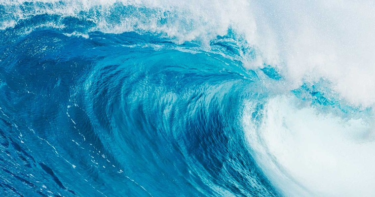 Mit Engagement Risiken für Unternehmen und Ozeane reduzieren