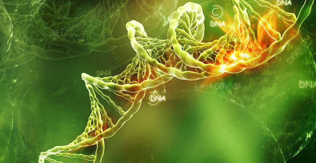 Durchbruch bei CRISPR-Technologie - Sektor gefragt