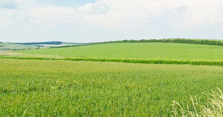 BAYWA – Was droht jetzt den Aktionären?