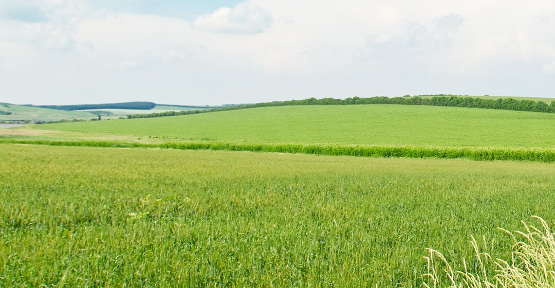 BAYWA – Was droht jetzt den Aktionären?