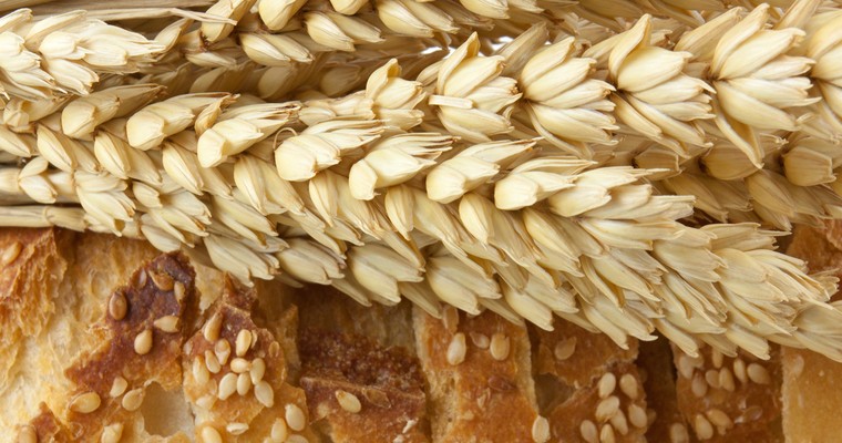 Weizen: Preise geben nach, Risiken werden ignoriert