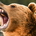 KLA TENCOR - Bären dominieren weiterhin