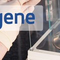 MEDIGENE - 100%-Kurssprung durch Kooperation mit BioNTech