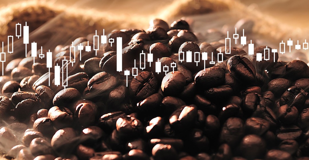 Kaffee: Arabica-Preis fällt auf Zwölfjahrestief