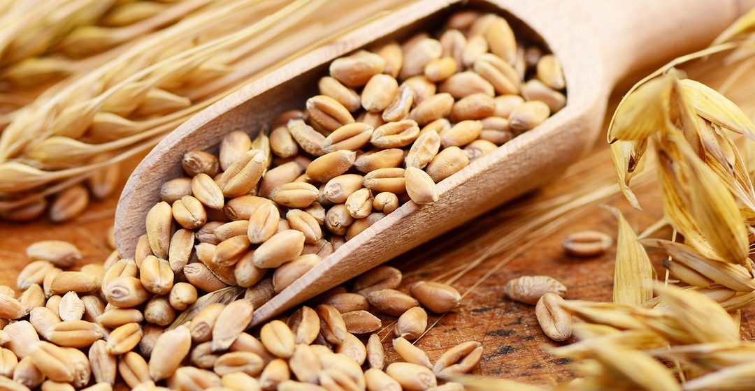 Getreide: IGC revidiert weltweite Weizenernte nach oben