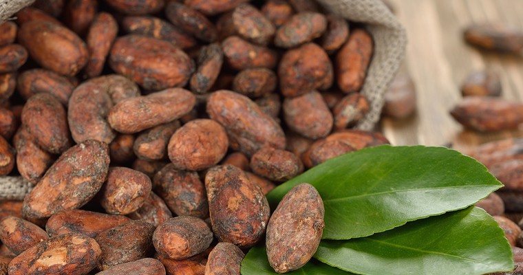 Kakao: Preis gibt deutlich nach