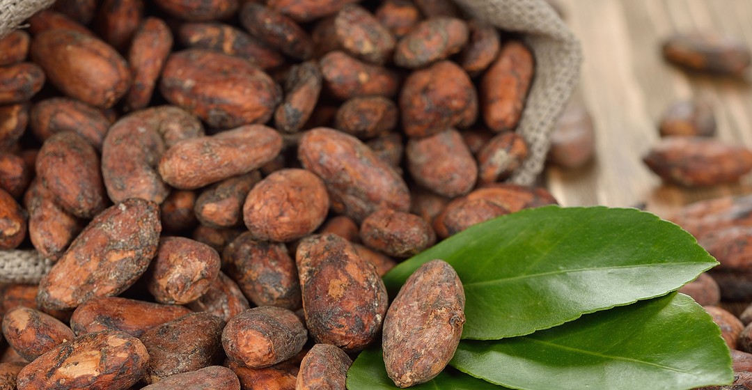 Kakao: Nachrichten aus der Elfenbeinküste stützen