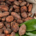 Kakao klettert auf Dreijahreshoch