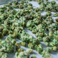 HIGH TIDE - Käufer fluten die Cannabis-Aktie