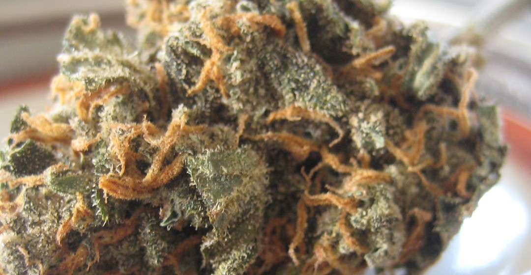 TILRAY - Cannabis-Aktie weiterhin eingekesselt