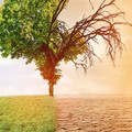 Environmental Impact 100 – ein ETF für die Rettung der Welt?