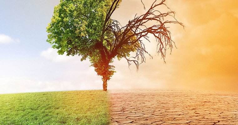 Environmental Impact 100 – ein ETF für die Rettung der Welt?