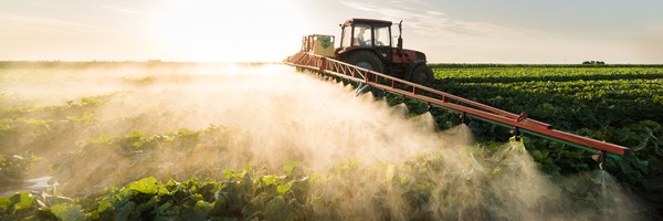 Traktor sprüht Pestizide auf einem Feld bei Sonnenuntergang.