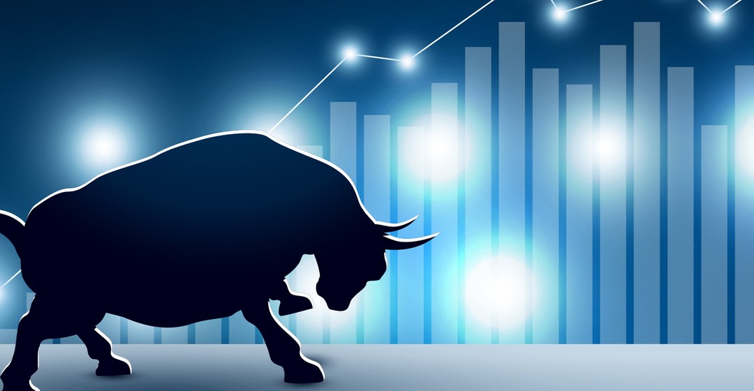 Hohe Volatilität bei Aktien erwartet: Anleger trauen dem Bullenmarkt immer noch nicht