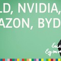 Rekord bei Gold, zudem Nvidia, Amazon, BYD - Marktausblick mit Egmond Haidt