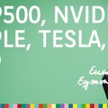 Rekord bei S&P500, zudem Nvidia, Apple, Tesla und SAP - Marktausblick mit Egmond Haidt