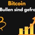 EW Video Analyse - BITCOIN *To da moon* - Wann startet die große Rally? Die Bullen sind gefragt