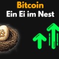 EW Video Analyse - BITCOIN *To da moon* - Ein Ei im Nest