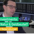 Grüne Investments: Gut für Natur & Geldbeutel?