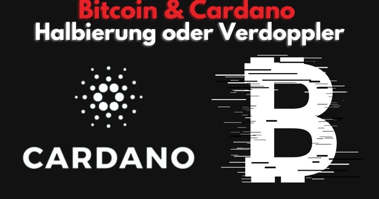 EW Video Analyse - BITCOIN *To da moon* - 100.000,00 USD / CARDANO mit Verdopplungspotenzial