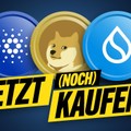 CARDANO, SUI, DOGE - Jetzt noch kaufen?